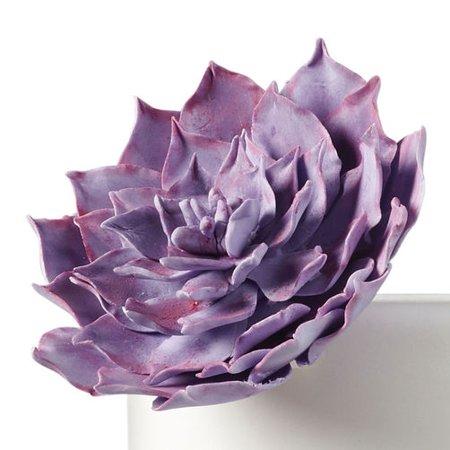[HCM]Màu thực phẩm Wilton Violet - 1oz