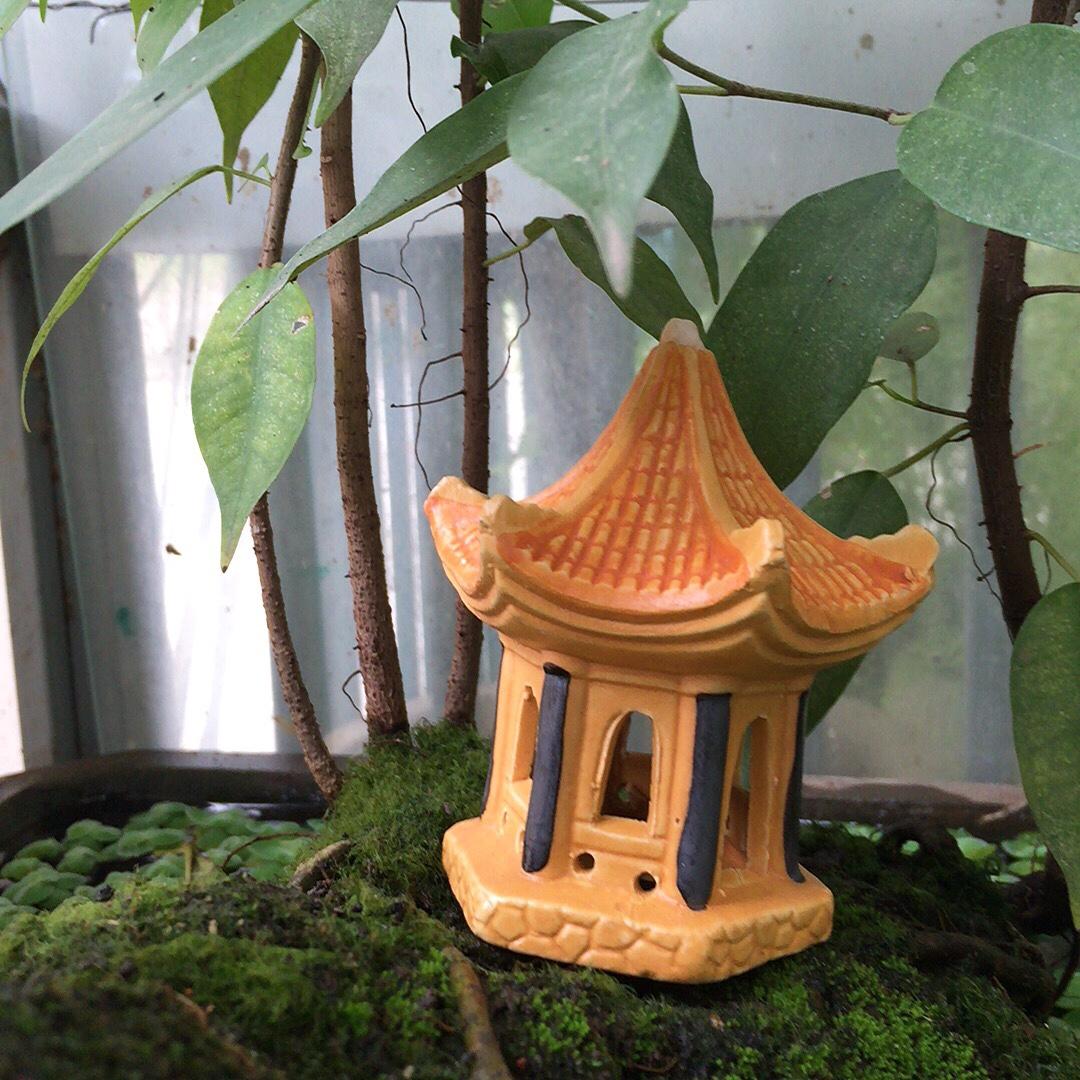 [HCM]Ngôi Nhà Vàng Trang Trí Hòn Non Bộ-Bể CáHồ Cá