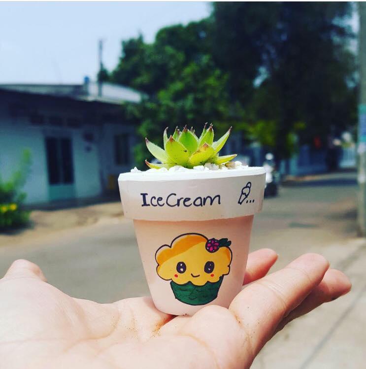 Combo 2 chậu sen đá mini siêu cute
