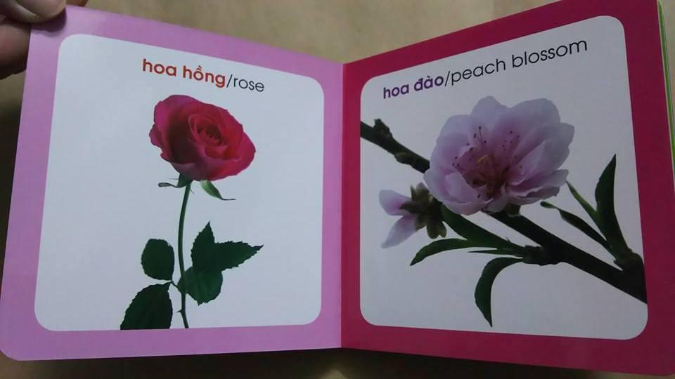Từ điển hình ảnh cho bé - Hoa