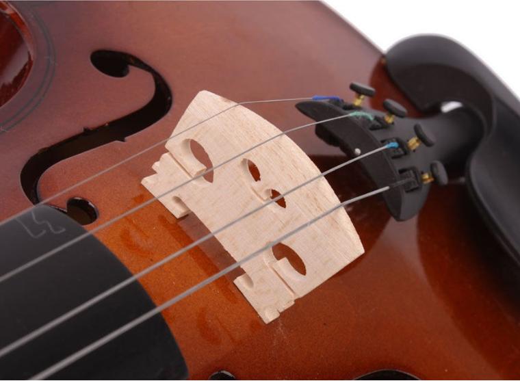 Đàn Violin Woim V10 Size 4/4