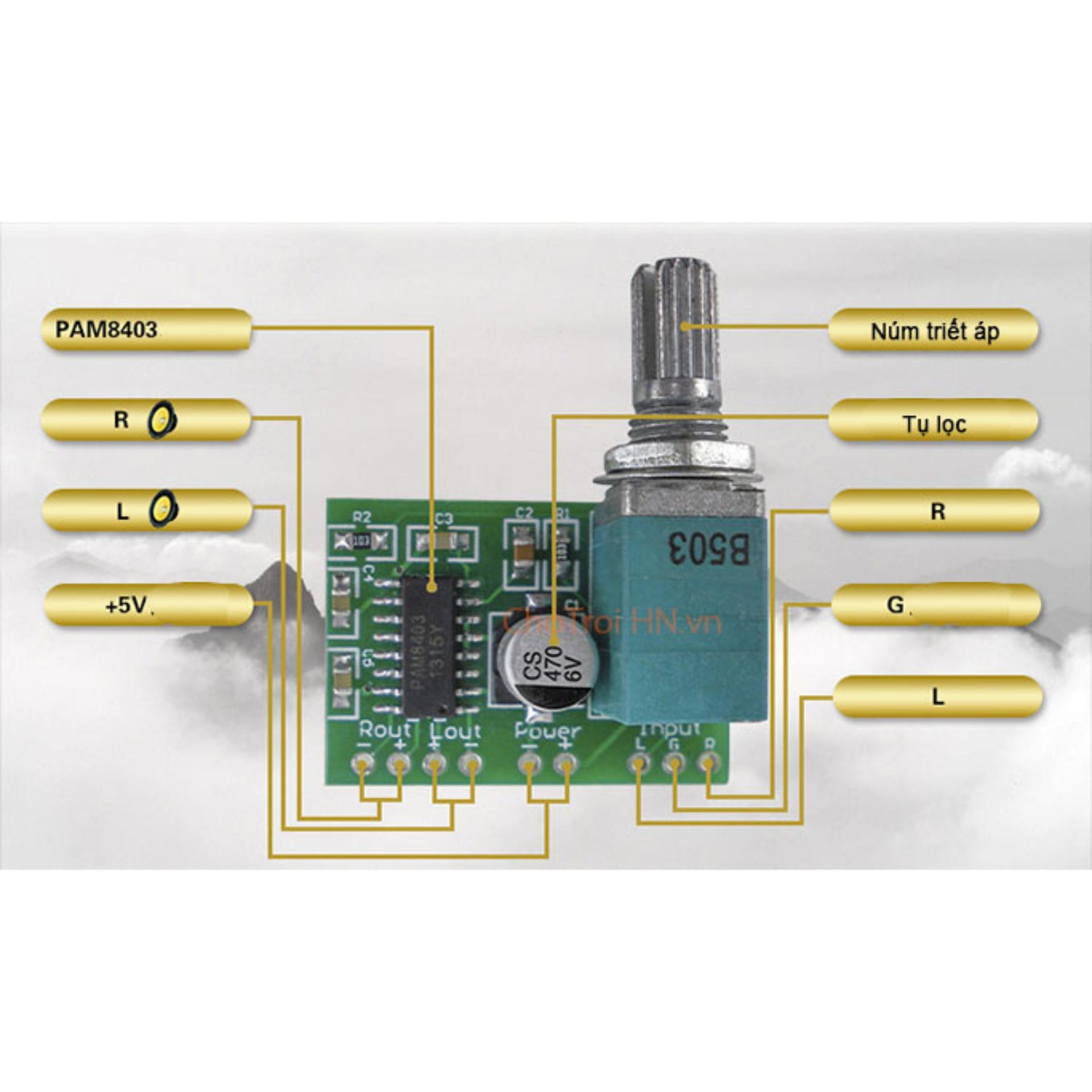 Module Khuếch Đại Audio PAM8403 2x3W 5V Có Núm Chỉnh Volume