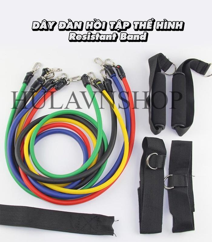 Bộ 5 dây đàn hồi Resistant Band tiêu chuẩn