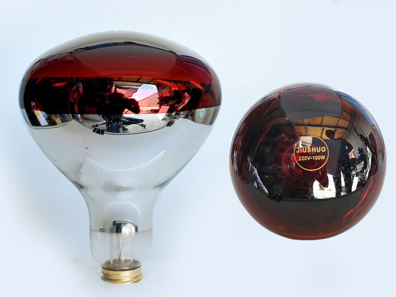 Bóng đèn úm gà sưởi gia cầm 100w hồng ngoại