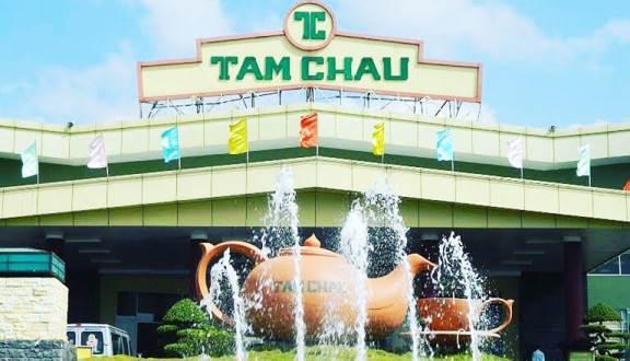 Trà ô long ( ôlong , olong , Oolong ) Tâm Châu 100g