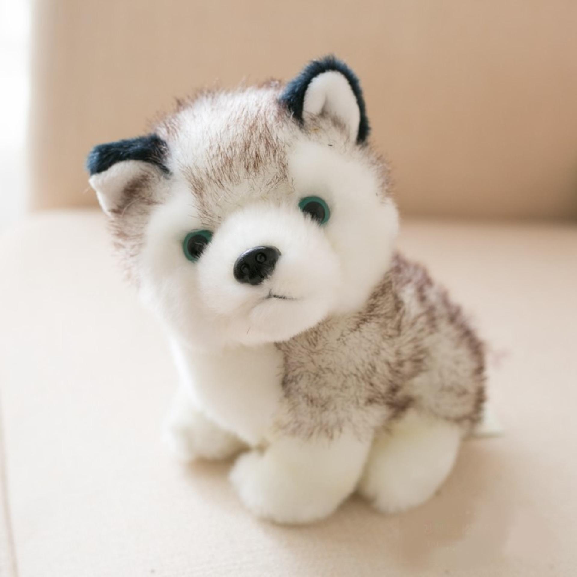 Gấu bông, thú nhồi bông - Chó bông husky