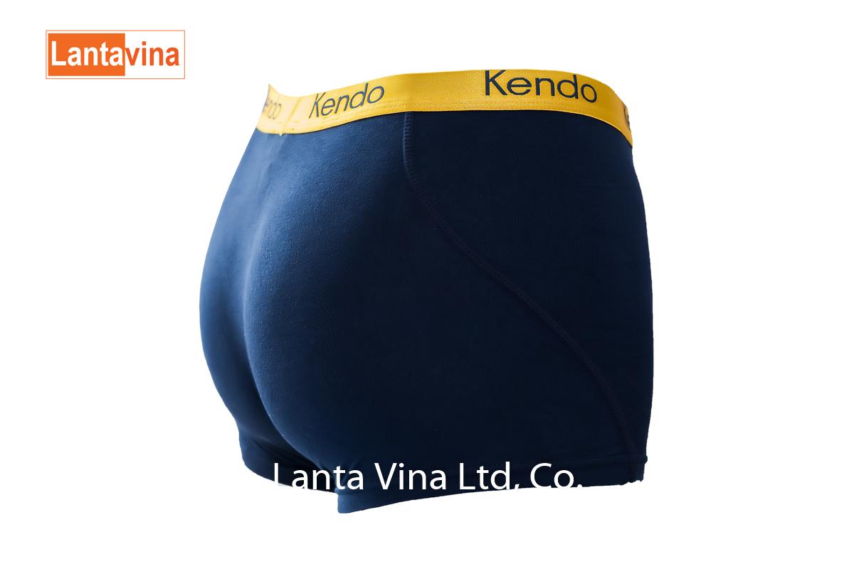 Quần lót nam Kendo Boxer Gold (Xanh đen) -  2 cái