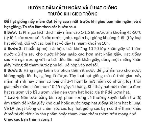 Gói 10 Hạt giống Cẩm Tú Cầu mix (tặng gói kích nẩy mầm và hướng dẫn)