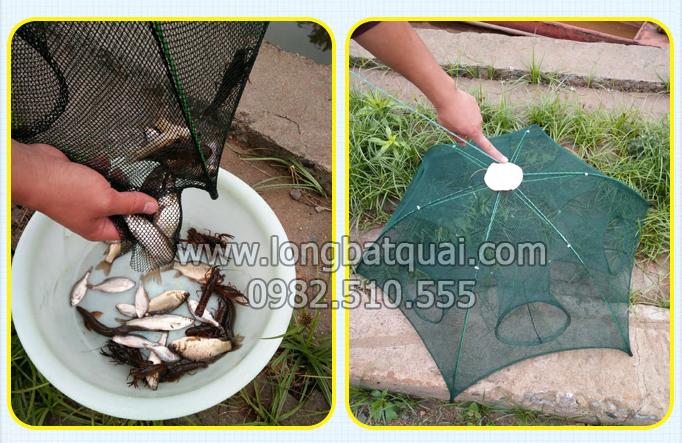 Lưới Đánh Bắt Cá Bát Quái - 8 Cửa Cao cấp [ Giá Siêu Rẻ ]