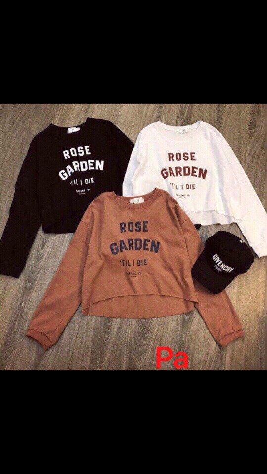 Áo Thun Nữ Dài Tay in chữ cực xinh