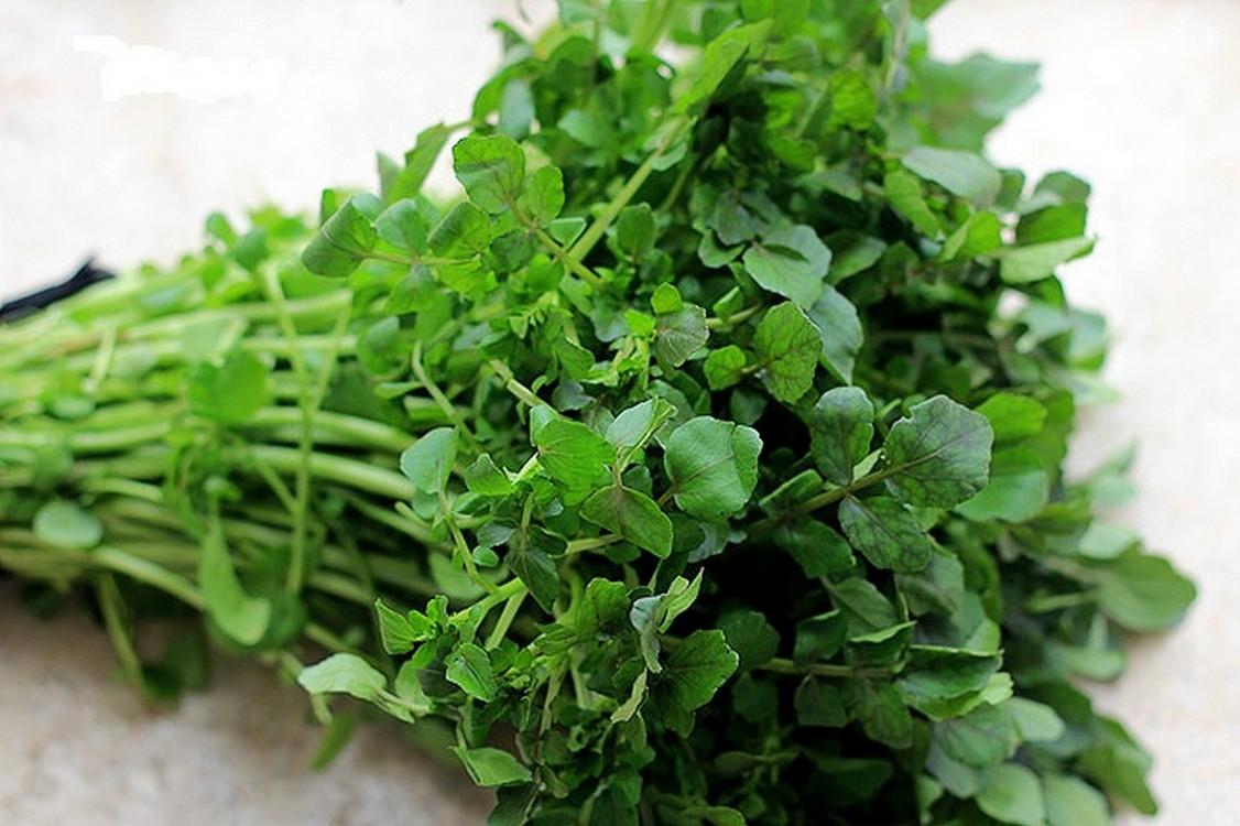 Hạt giống Xà lách Xoong Mỹ (0,1g)