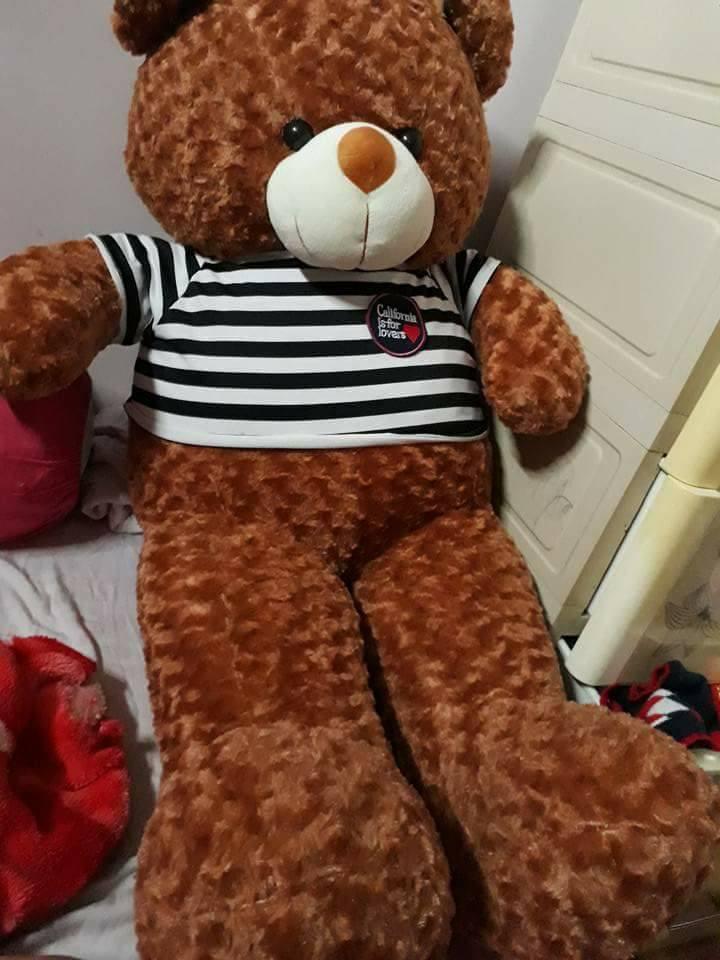 Gấu Bông Teddy Khổ vải 1m2