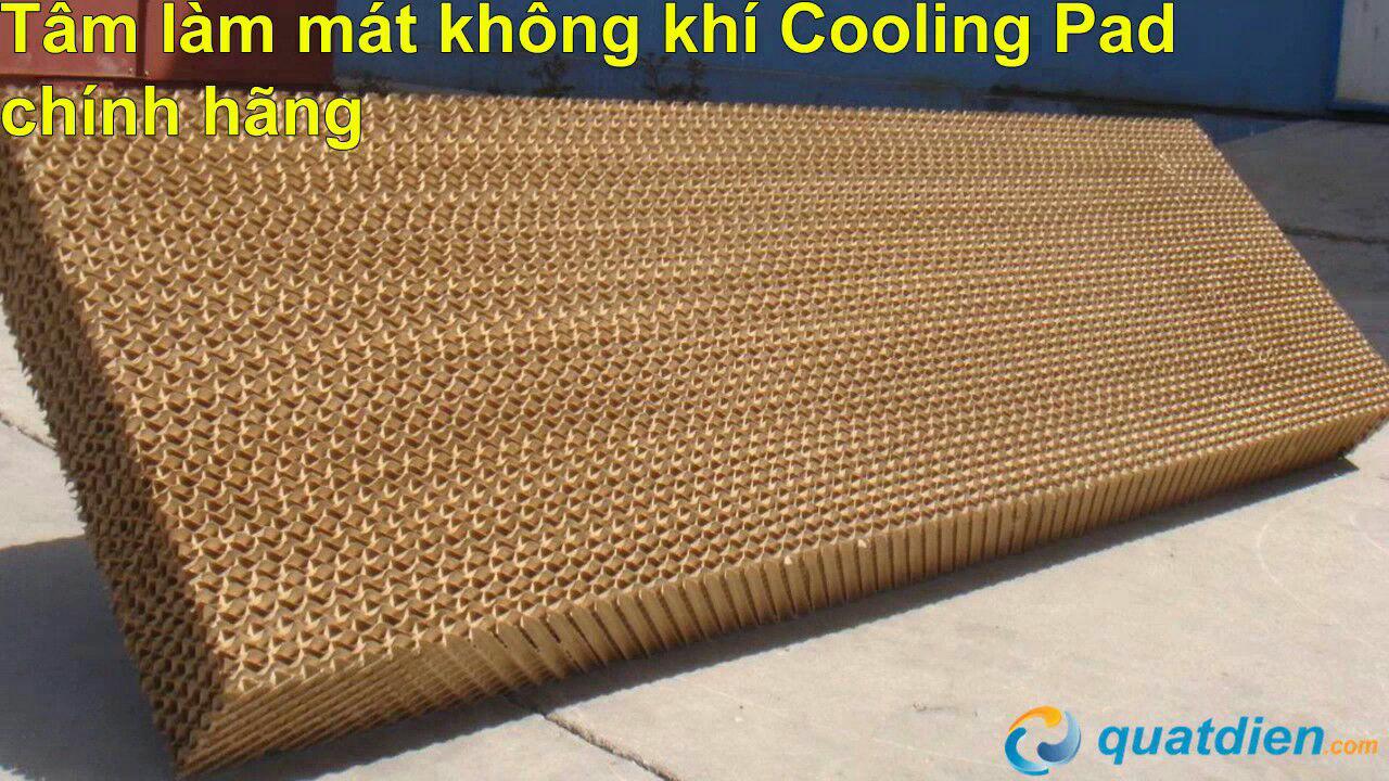 Tấm làm mát cooling pad 60x60 5cm