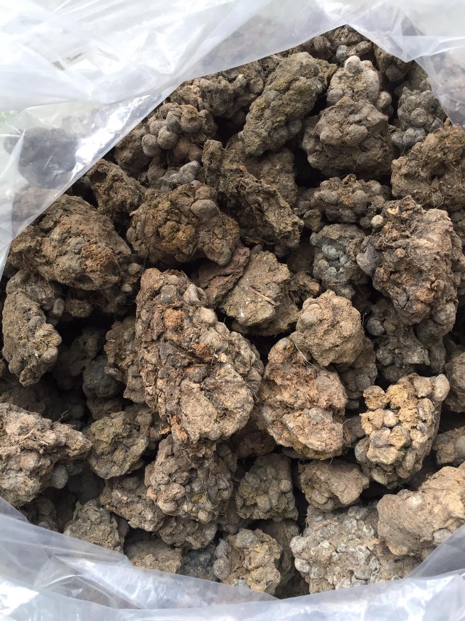 Phân dê đã ủ nấm Trichoderma tan chậm giúp thoáng rễ - 1kg