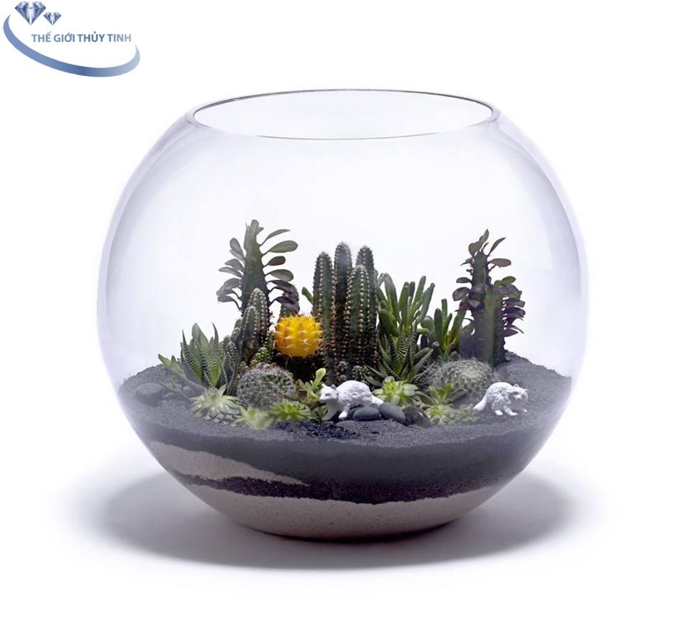 HỒ CÁ THỦY TINH BẦU BỂ CÁ D24cm x H16cm T02