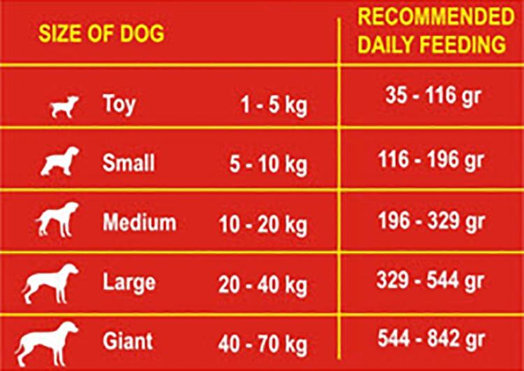 Thức ăn cho chó Fibs 500gr