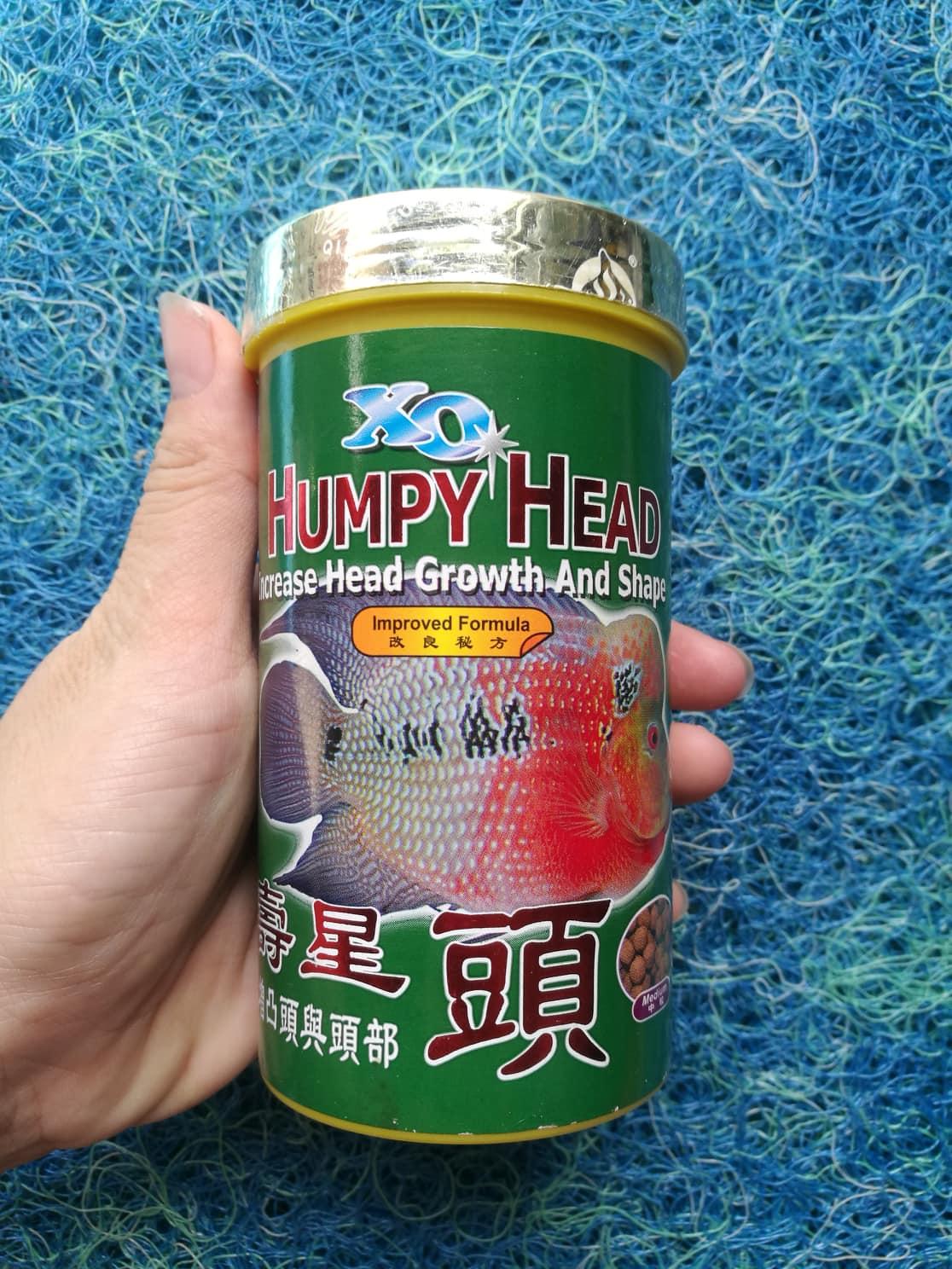 Thức ăn cho cá la hán tăng đầu XO - Humpy Head