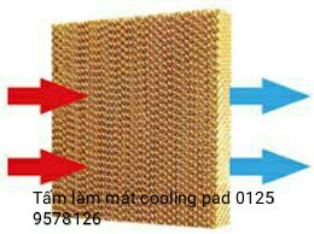 TẤM LÀM MÁT COOLING PAD 60X60 5CM tấm làm mát cooling