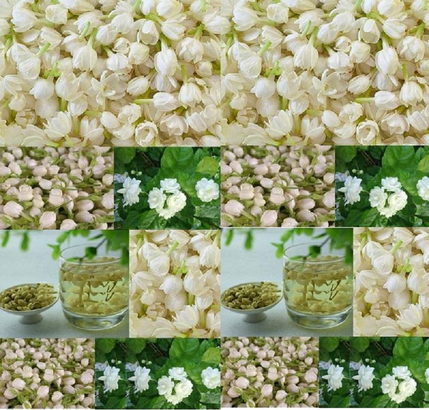 Trà  Hoa Nhài - Thảo Lộc Túi 100g