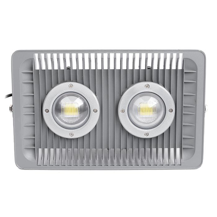 Đèn pha LED 100W Daxinco xương cá