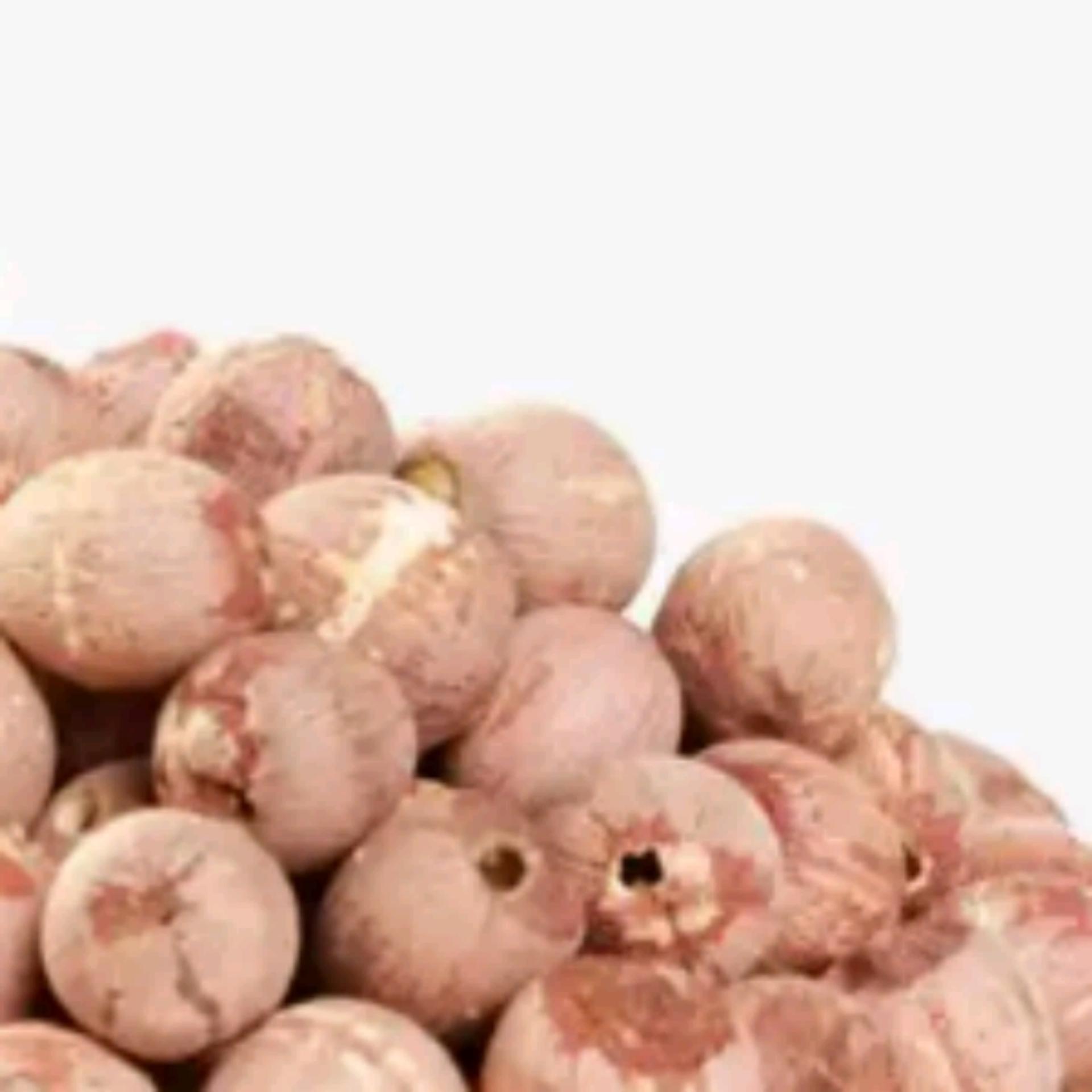 Hạt sen khô bóc vỏ (lụa đỏ) 500g. K5