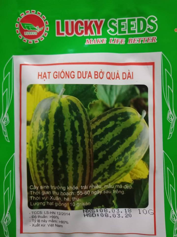 Hạt Giống Dưa Bở Quả Dài - 10gr