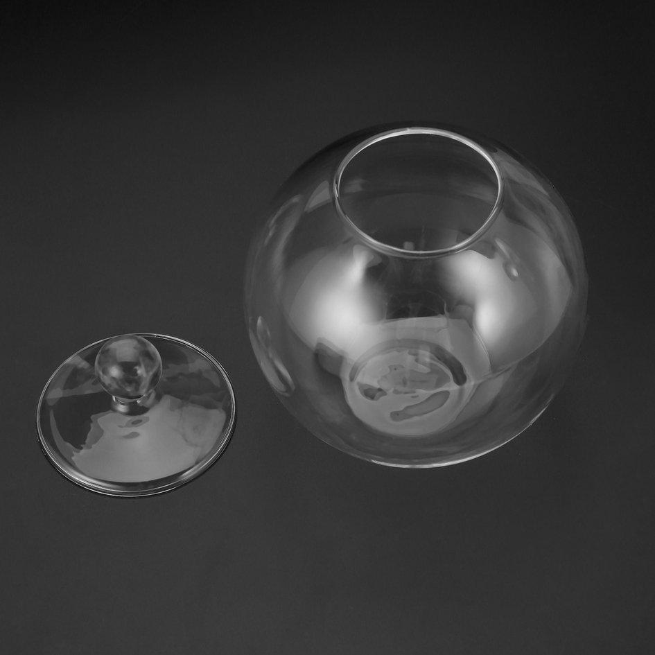 OH Transparent Micro Meaty Bryophytes Landscape Glass Vase Bottle With Cover Transparent