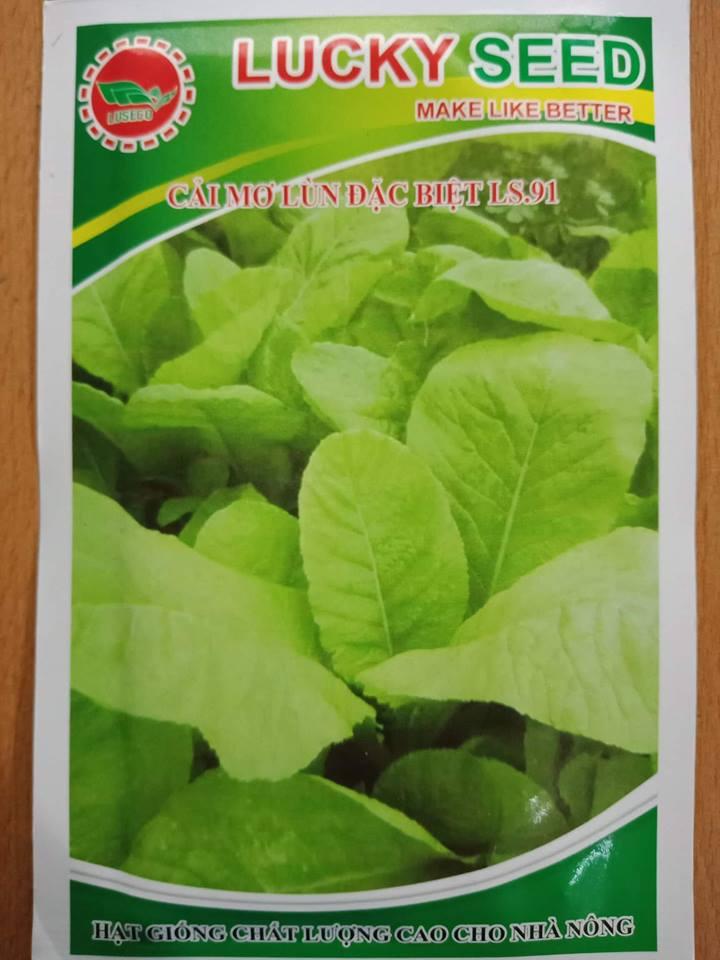 Hạt giống cải mơ lùn Hà Nội - 20gr