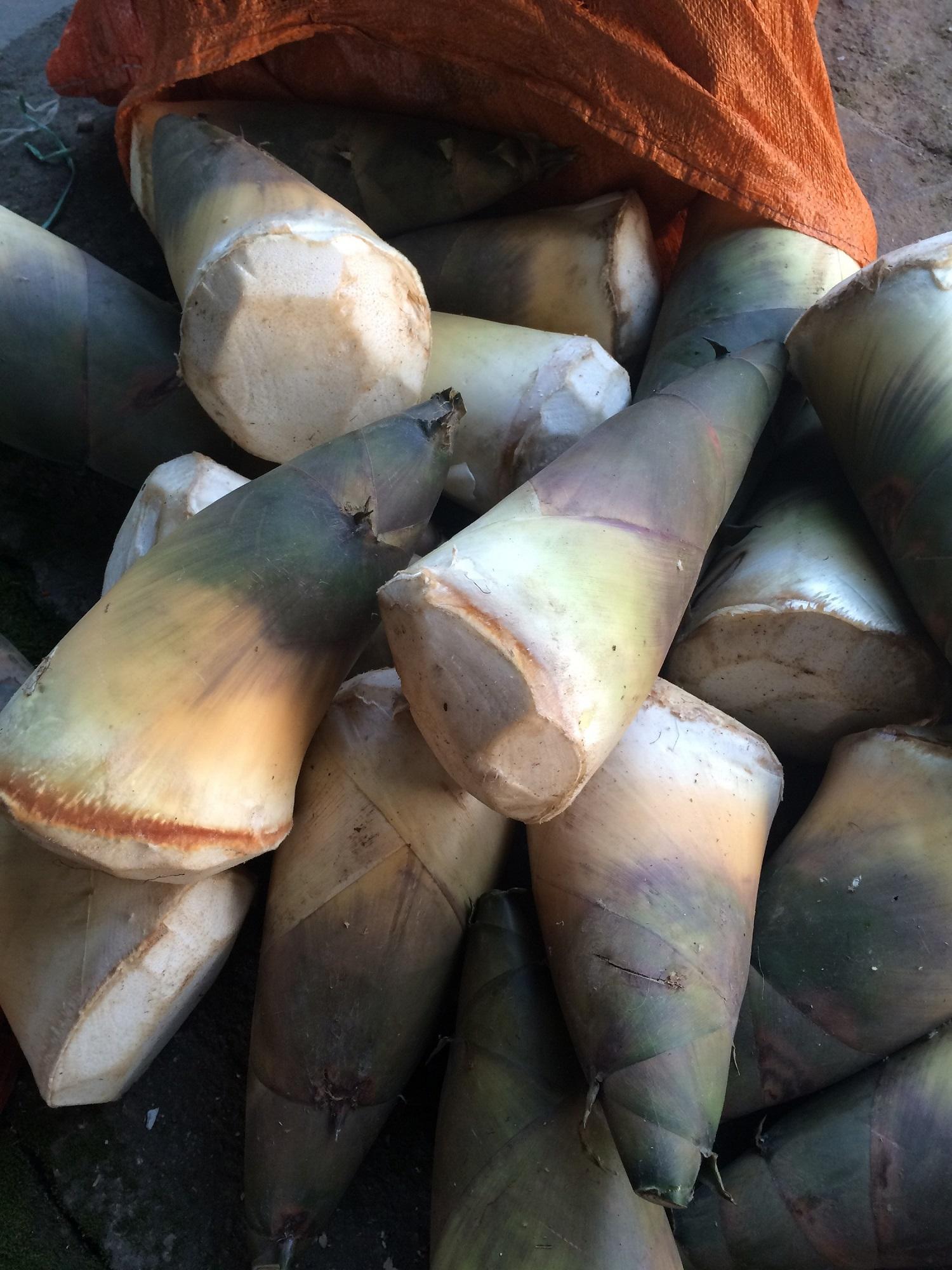 Măng khô lưỡi lợn 500g tự làm