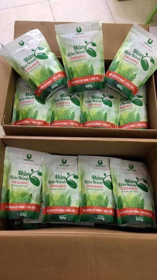 MẦM ĐẬU NÀNH ORGANIC