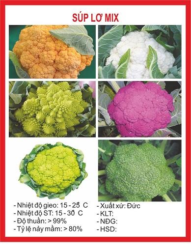 Hạt giống súp lơ nhiều màu 20 hạt