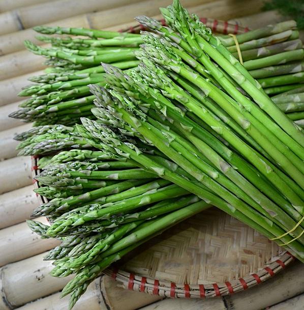 [HCM]Hạt giống Măng Tây- PhuNongSeeds