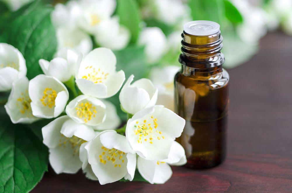 Tinh dầu hoa nhài Jasmine - 10ml