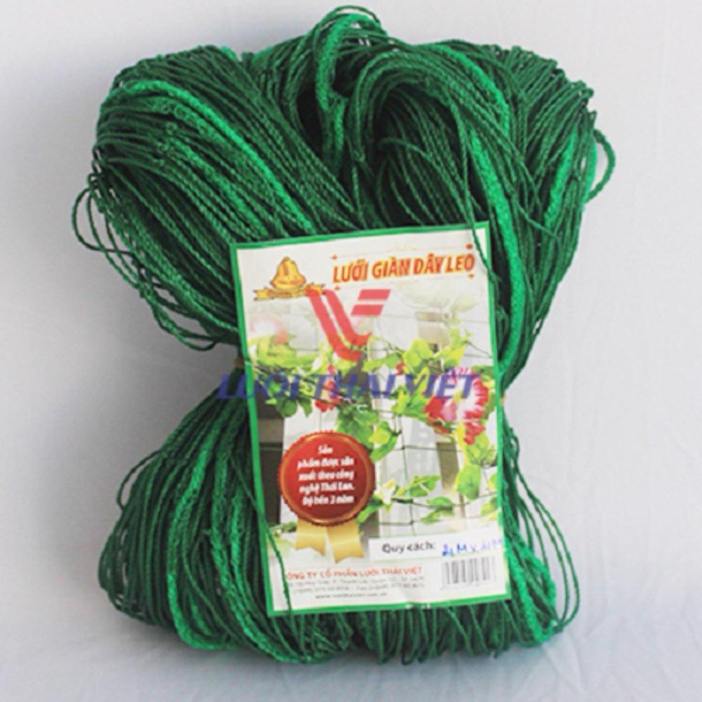 Thai Viet net 1 x 2 m (Green)