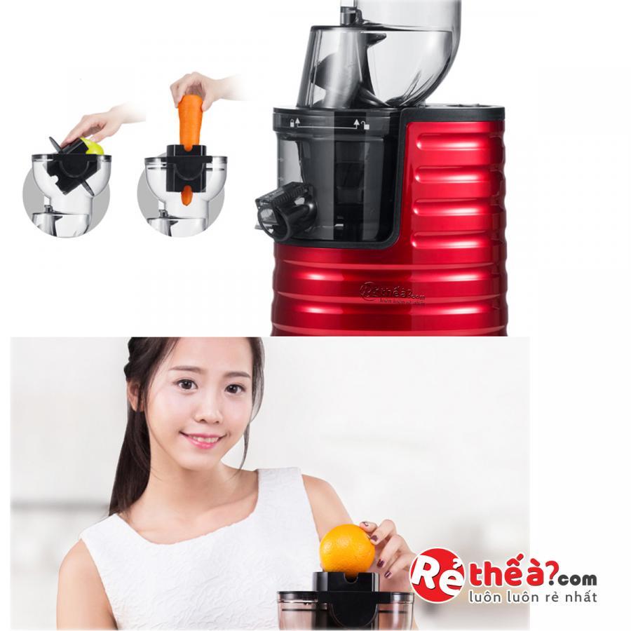 Máy ép hoa quả SAVTM JE31 tốc độ chậm