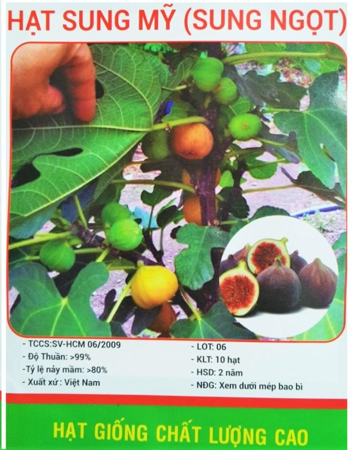 [HCM]Hạt Giống Sung  ngọt  - KLT 10 hạt .