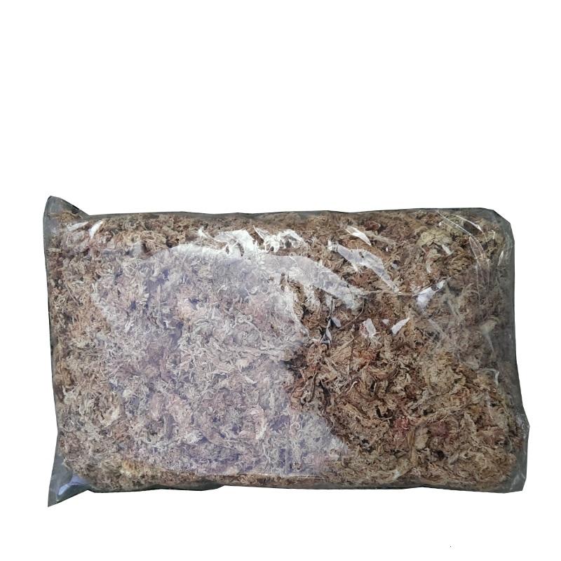 Dớn trắng dớn mềm dớn chile CHILE MOSS 2dm3