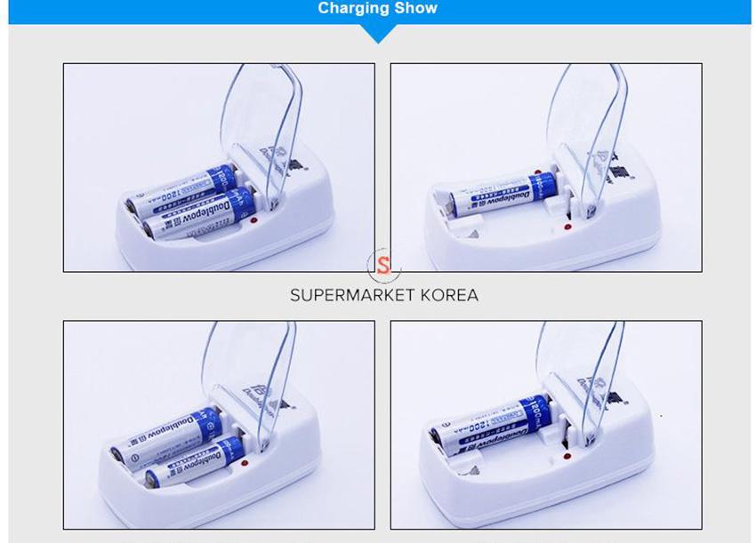 Doublepow Dp-B01 2-Port Aa, Aaa Battery Charger