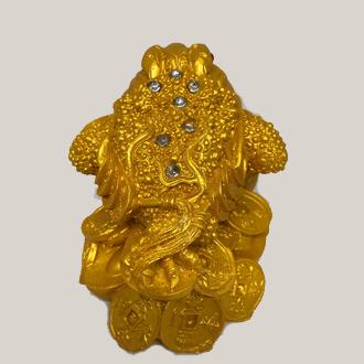 Cóc vàng poly nhỏ PT0091