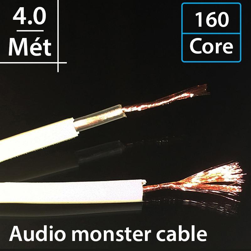 Dây loa Monster XP NW. compact precision stranded high resolution speaker cable with magneric flux tube & LPEdielectric 160 core/2 lõi - 4 mét