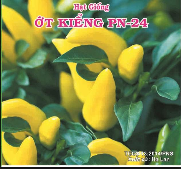 [HCM]Hạt giống ớt kiểng Hà Lan  PN24  - gói 02g