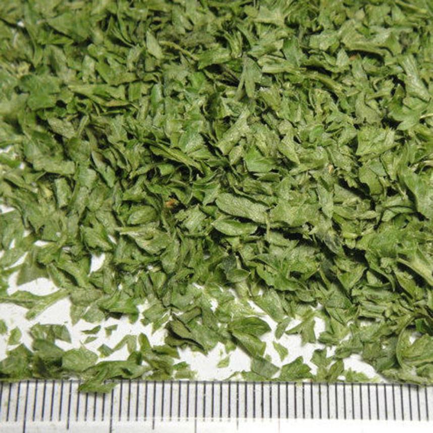 Lá Oregano 10g
