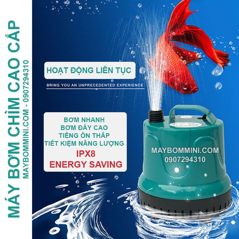 Máy bơm nước hồ cá hòn non bộ 220V 1000L EB-A1000