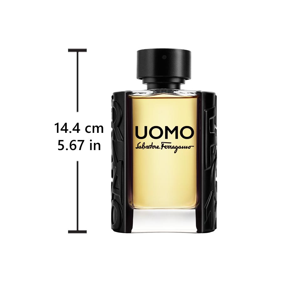 Nước Hoa Salvatore Ferragamo Uomo EDT P.H 100ML