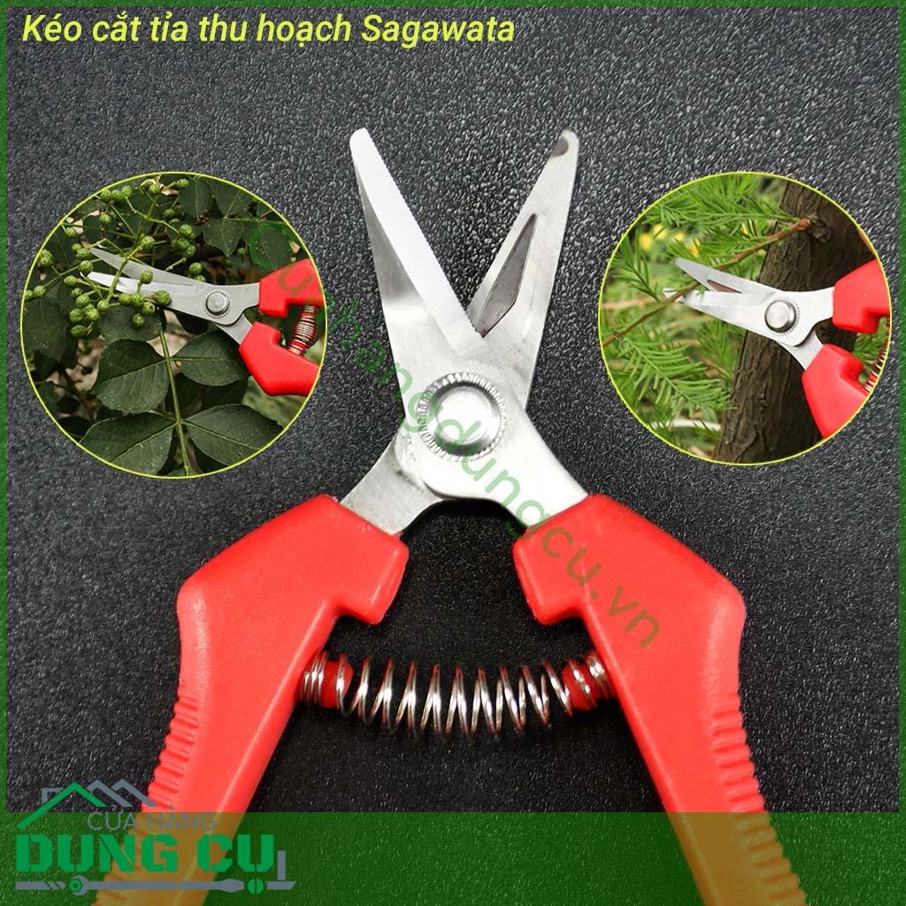Kéo cắt tỉa thu hoạch lưỡi cong P916