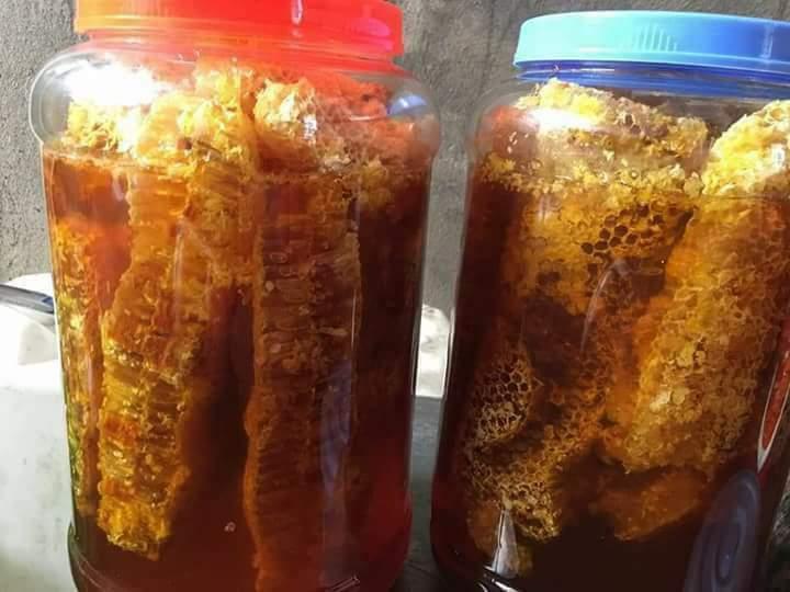 1L MẬT ONG RỪNG NGUYÊN CHẤT YÊN BÁI