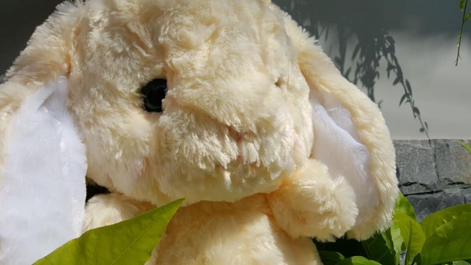 BALO THỎ BÔNG 55CM