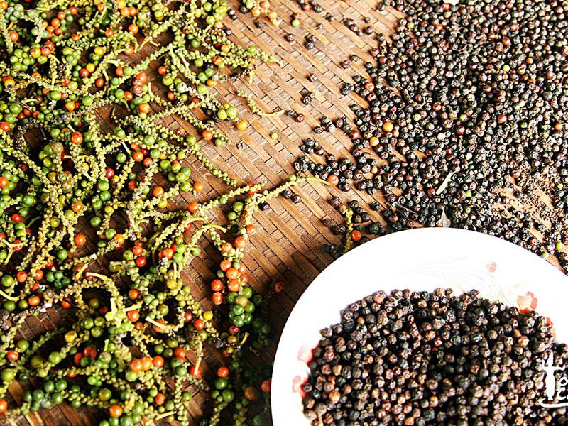Tiêu hạt chín cây nhà trồng (500gr)