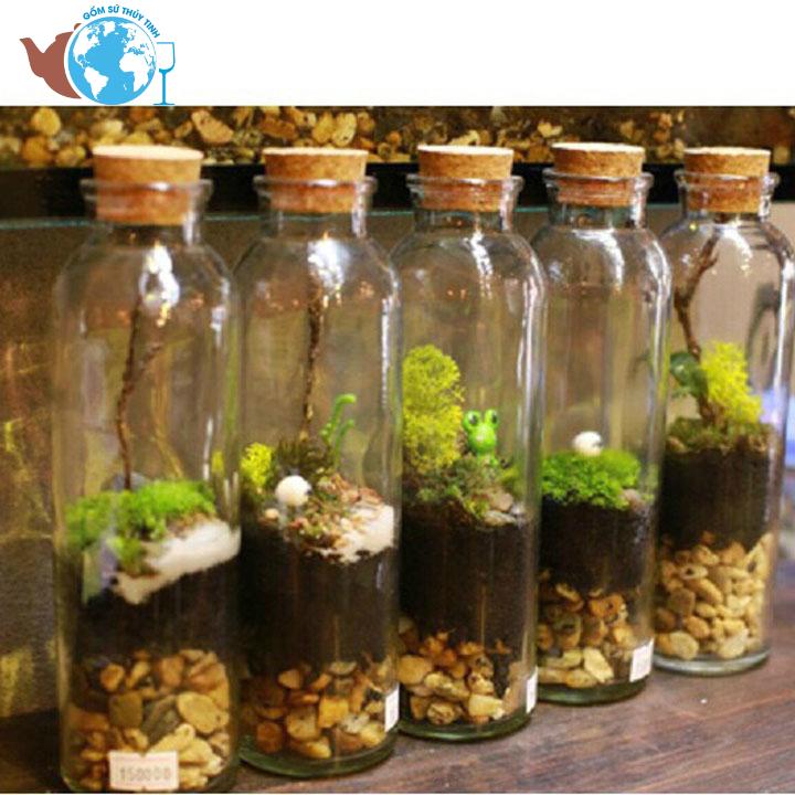 [HCM]COMBO 3 chai thủy tinh nút bần 350ML