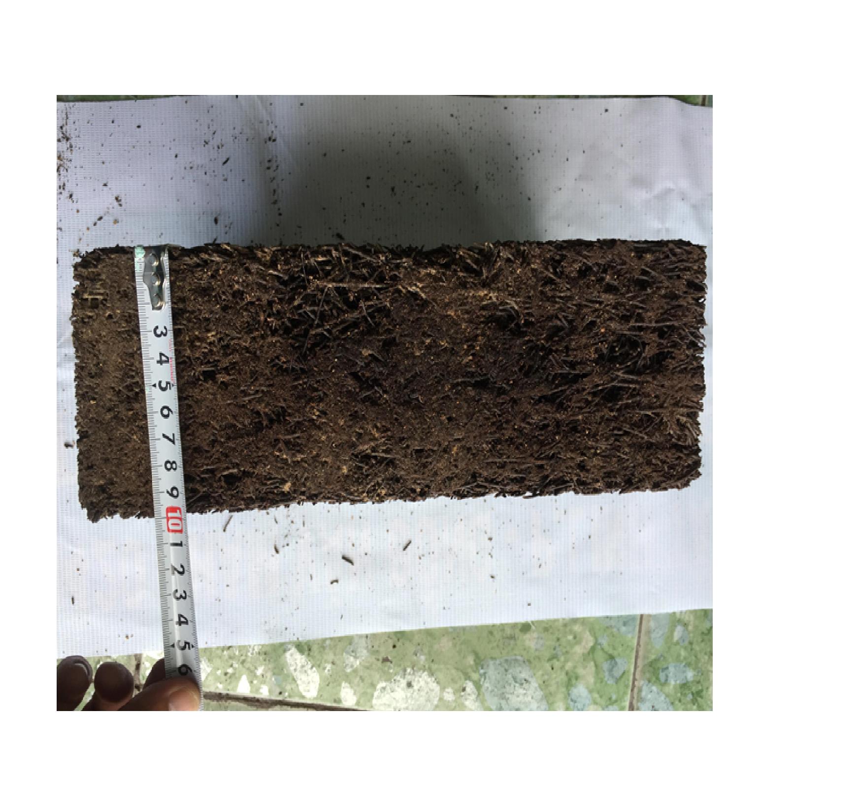 05 bản Dớn 20cm x 20 cm trồng lan